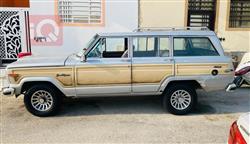 جيب واجونير